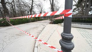 El Retiro y otros parques balizan zonas de 12 a 15 horas por fuerte viento