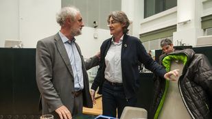 Los ediles escindidos de Más Madrid piden cautelarísimas para constituir el grupo mixto
