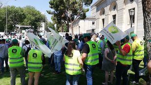 El sector ganadero, en pie de guerra por los ataques de lobo: "El verdadero lobo está en Alcalá 16"