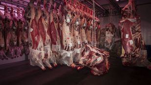 Los ganaderos, en pie de guerra contra Garzón tras aconsejar comer menos carne