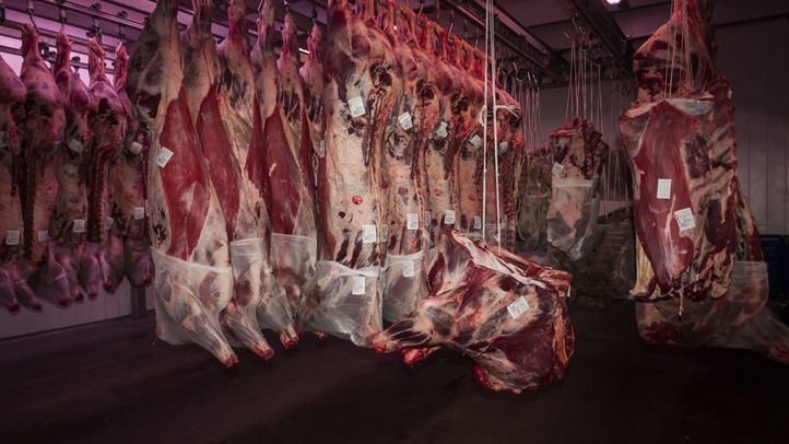 Los ganaderos, en pie de guerra contra Garzón tras aconsejar comer menos carne