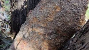 Una obra en el alumbrado público en Carabanchel saca a relucir un proyectil de la Guerra Civil