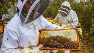 La empresa madrileña Miel Antonio Simón, premio BBVA a los mejores productores sostenibles de España