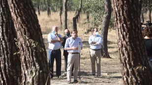 Madrid plantará 100.000 árboles para reponer los caídos por Filomena