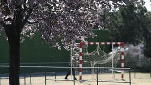 La capital celebrará su Día del Deporte el 25 de septiembre