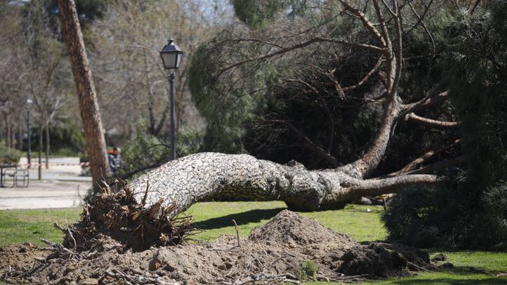 Alerta amarilla en la Sierra ante la previsión de fuertes lluvias y granizo