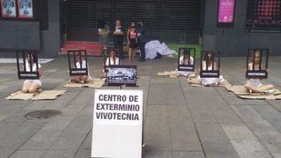 Organizaciones animalistas piden la liberación de los animales de Vivotecnia