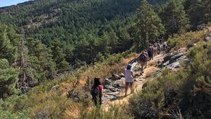 Los centros de Educación Ambiental de Madrid ofrecen más de 200 actividades gratuitas en agosto