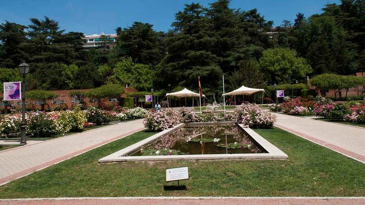 Rosaleda del Parque del Oeste.