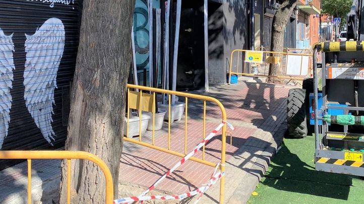 Árboles de la calle Torrejón.