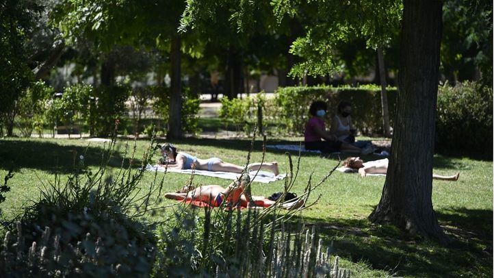 Mujeres tomando el sol en un parque