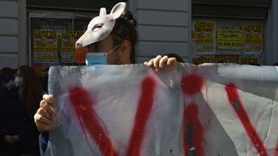 Colectivos animalistas se manifiestan este domingo en Sol contra la nueva temporada de caza en España