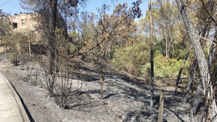 El Seprona abre una investigación para conocer el origen del incendio de Batres
