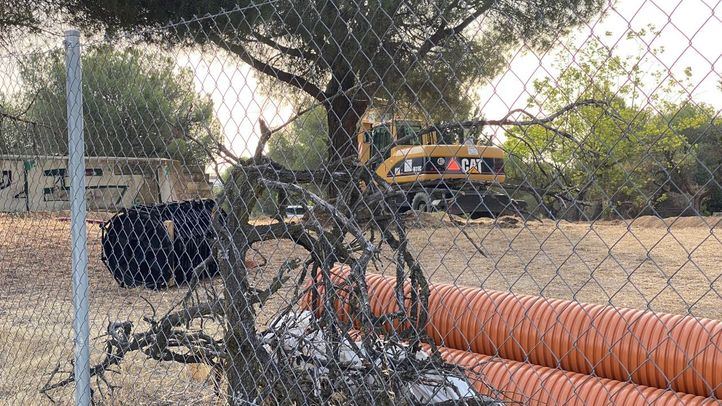 Dehesa de Navalcarbón, en Las Rozas