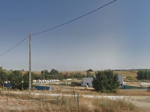 Vecinos de El Álamo denuncian la muerte, maltrato o desaparición de sus perros en una residencia