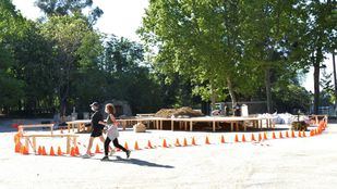 Zonas restringidas en El Retiro y otros parques esta tarde