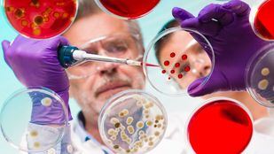 La Fundación Merck premia la búsqueda de tratamientos personalizados para pacientes en materia de Inmuno-Oncología