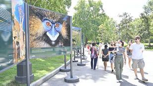 Una denuncia fotográfica de la crisis climática en El Retiro