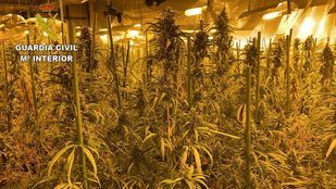 Detenidas 26 personas en una macrooperación de tráfico de drogas en Madrid y Toledo