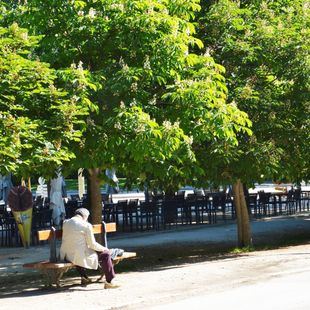 Paseos guiados gratuitos por el Retiro: otro aliciente para visitar la Feria del Libro