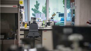 Los investigadores biomédicos reclaman a Sanidad resolver su temporalidad