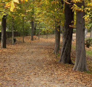 Lluvias y tormentas para recibir el otoño en Madrid