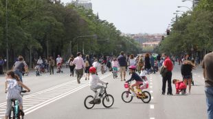 Un 32% de los niños madrileños entre 8 y 12 años tiene sobrepeso
