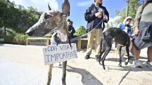 Un centenar de personas exige en Madrid "respeto y protección" para los animales