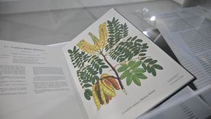 España y Colombia, unidas en el Real Jardín Botánico