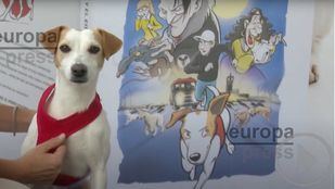 100x100 Mascota mostrará 6.000 perros compitiendo