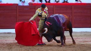 La Fundación Toro de Lidia irá a los tribunales por la exclusión de los toros del bono joven