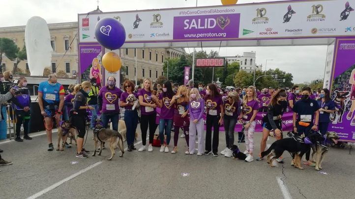 La Comunidad registra 7.990 adopciones de animales domésticos en 2020, el mayor dato de su historia