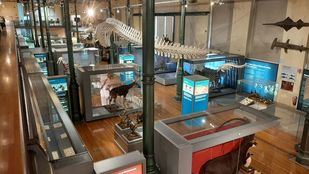 De un gabinete de curiosidades a una institución científica viva