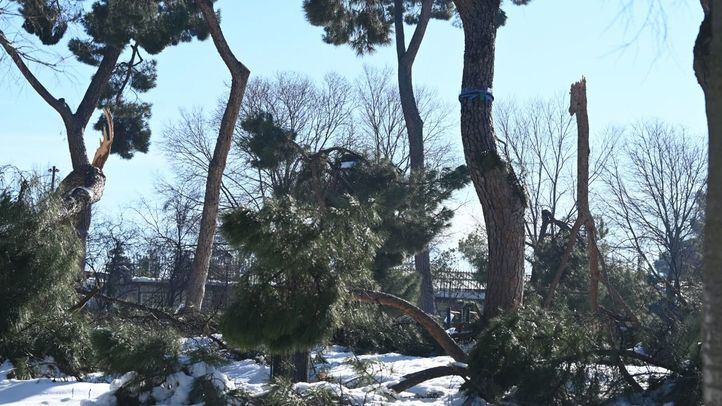 Foto de archivo: consecuencias de Filomena