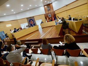 Las Rozas rebajará los impuestos a familias numerosas y vehículos menos contaminantes