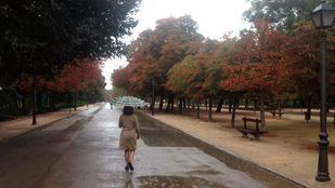 El Retiro y otros ocho parques de la capital con zonas balizadas por el mal tiempo