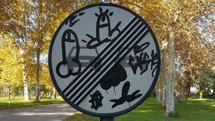 El deterioro de los Sotos Históricos de Aranjuez