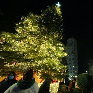 La Navidad se enciende en Madrid