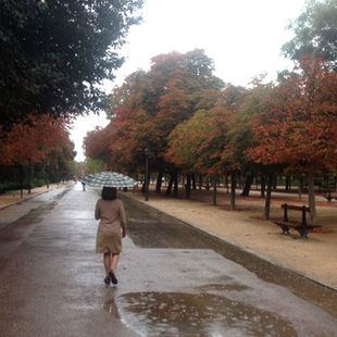 Zonas balizadas en El Retiro y otros ocho parques de la capital por el mal tiempo