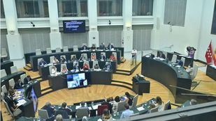 Un Pleno para homenajear a Almudena Grandes y debatir sobre terrazas y franquismo