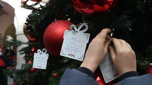 Vuelven los conciertos de villancicos y el Bosque de los Deseos