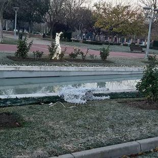 Policía Local de Pinto investiga vandalismo en 'Parque Mágico'