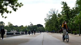 Hasta nueve parques madrileños mantienen zonas balizadas por la alerta amarilla