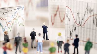 'Los fallos del mercado y del sector público', por Joaquín Galván