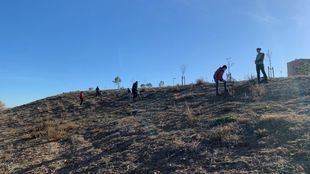 Comienza la plantación del Bosque Metropolitano