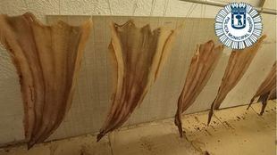 Intervenidos alimentos caducados y sin etiquetado en una tienda de Carabanchel