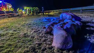 Fallecido el conductor de un camión tras volcar en la A-3