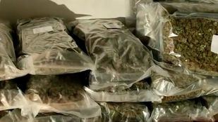 Requisados casi 4 kilos de marihuana y cogollos en un coche
