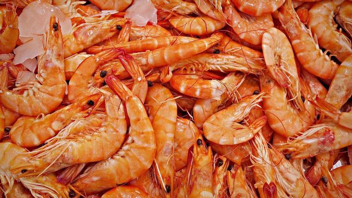 Foto de archivo de gambas