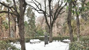 Un año de Filomena, el temporal que paralizó Madrid